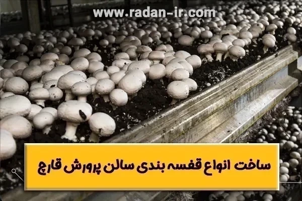 قفسه بندی سالن پرورش قارچ🍄【طراحی، ساخت، نصب】
